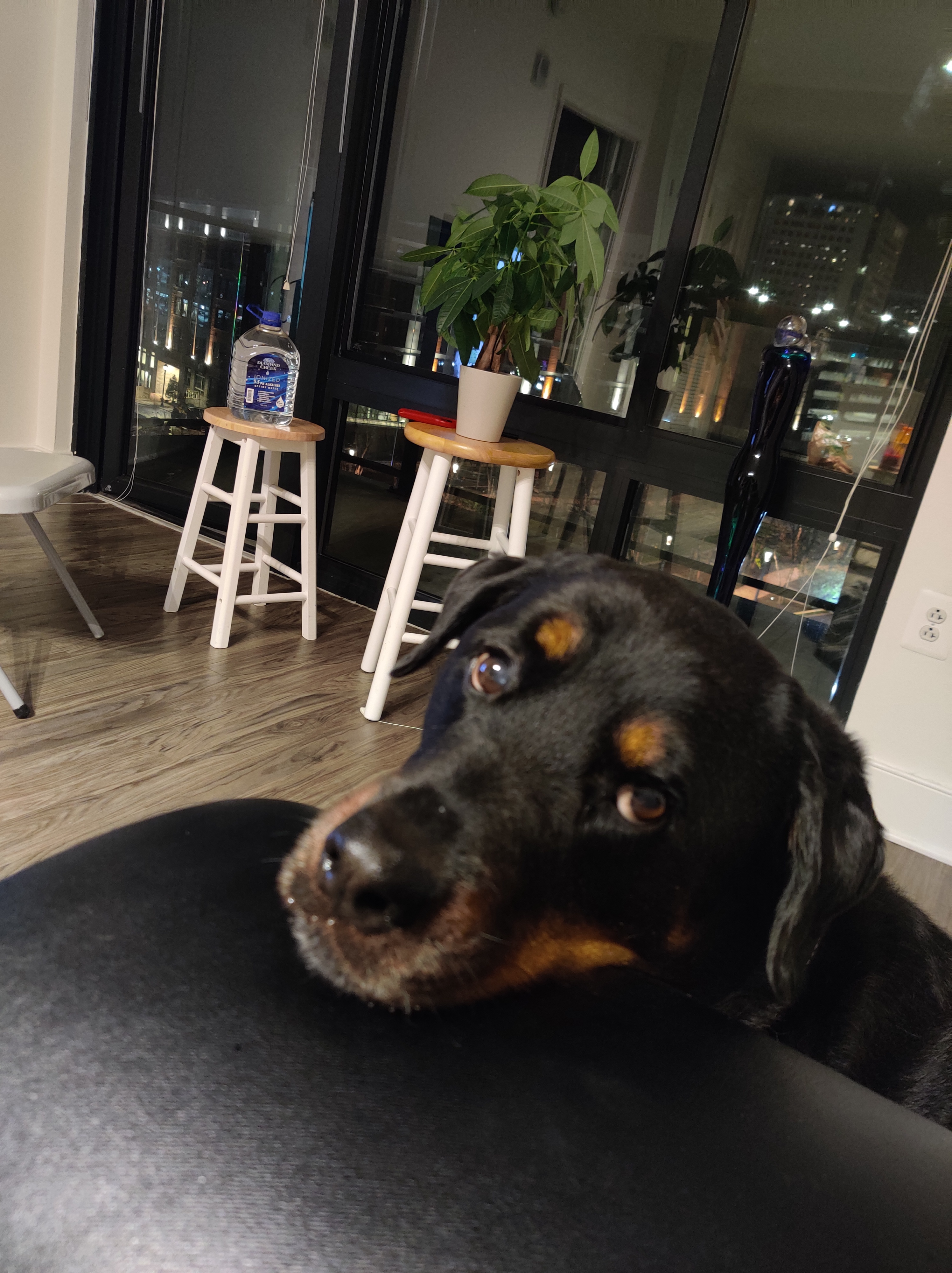 Roxy Joffe in Israel Joffe apartment